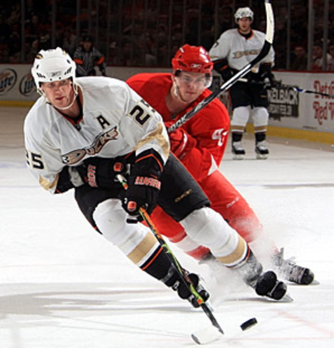 ducks-redwings.jpg