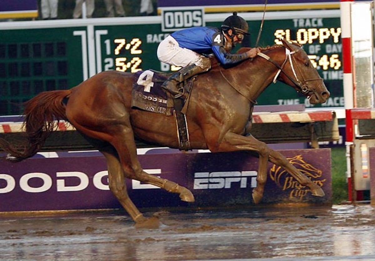 Curlin, horse racing