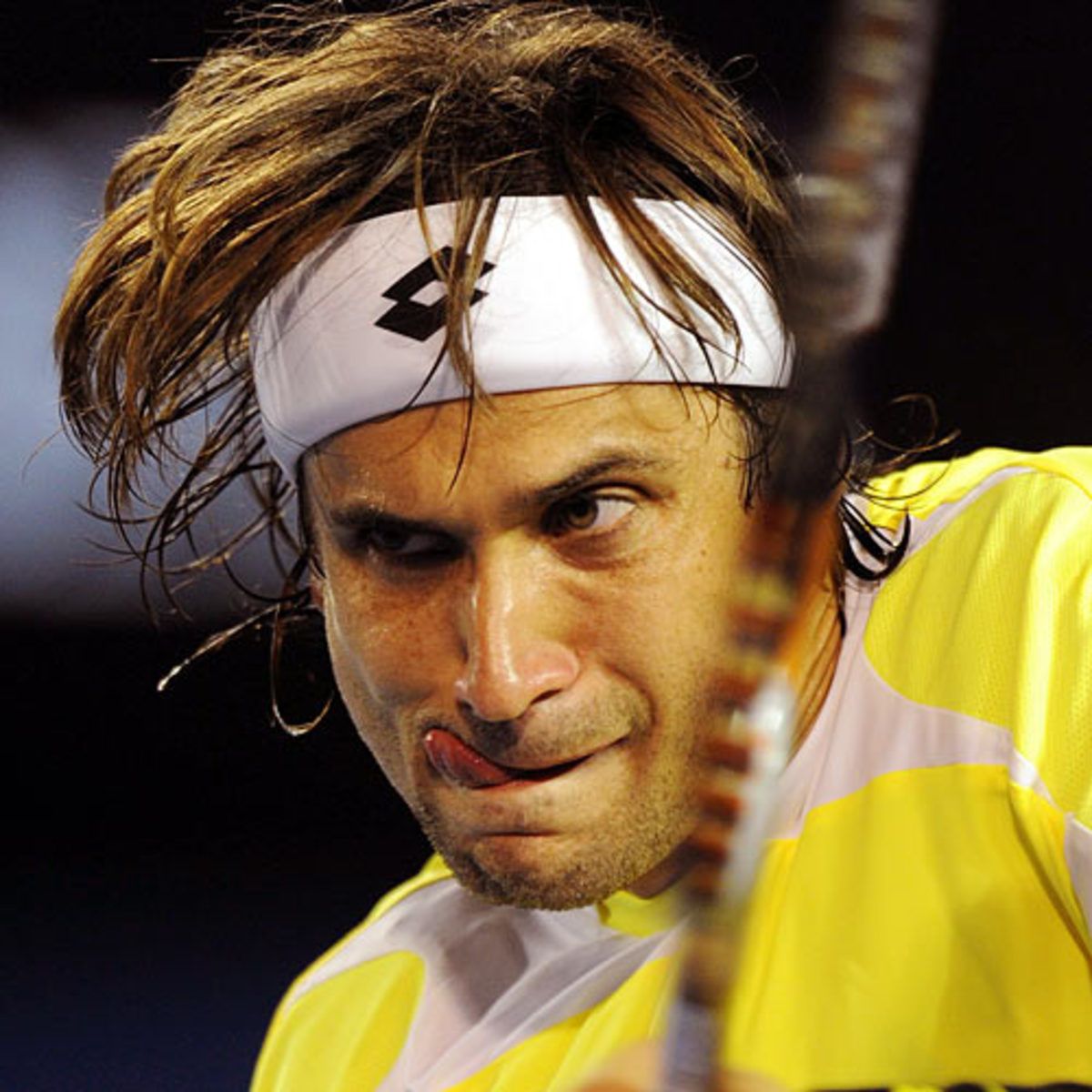 David Ferrer