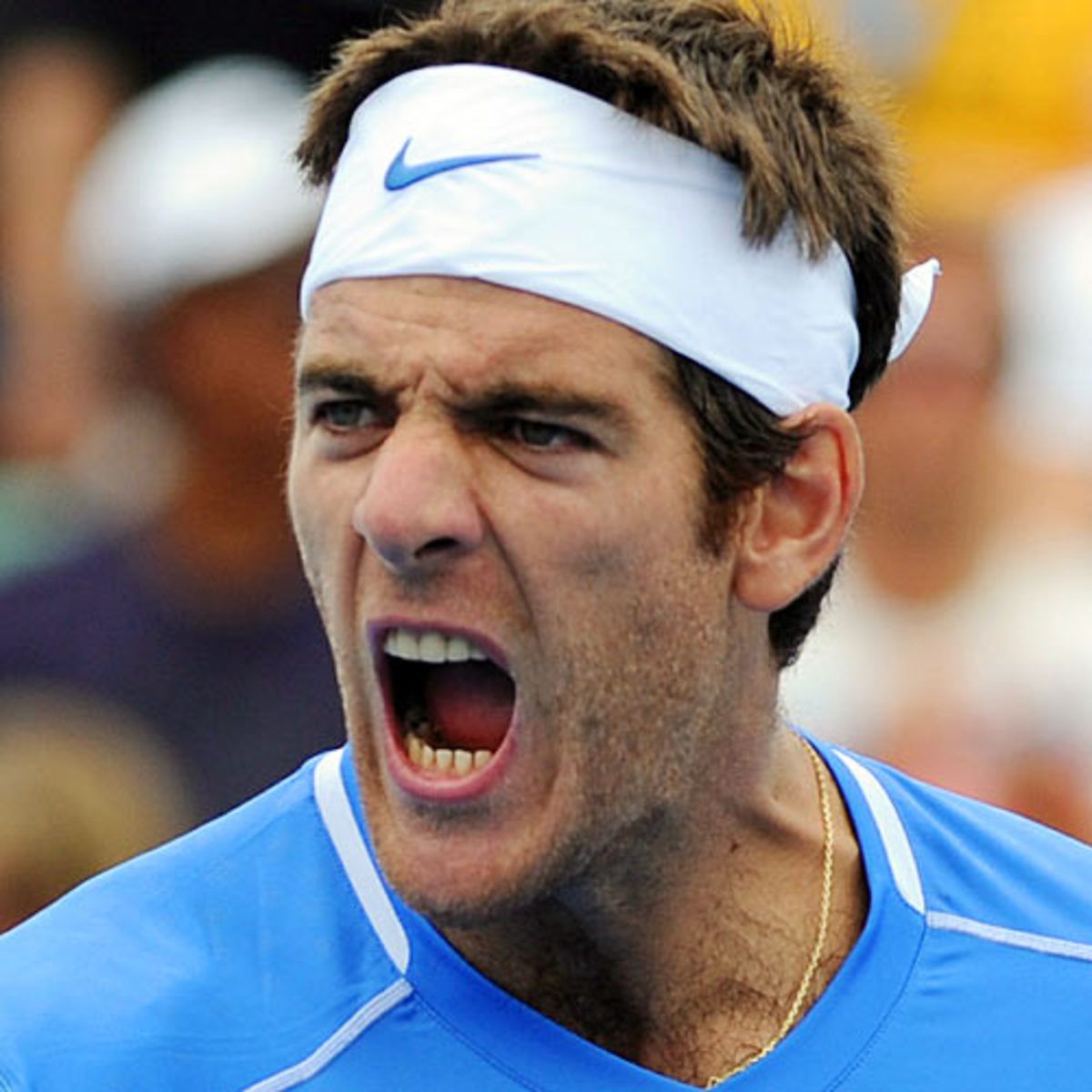 Juan Martin del Potro