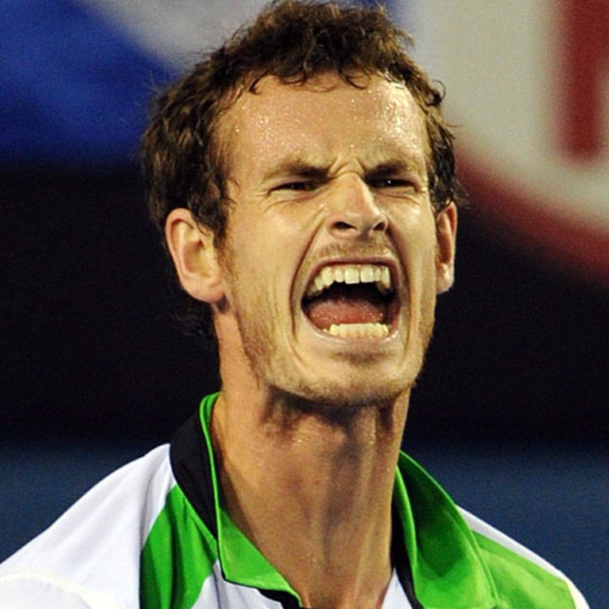 Andy Murray
