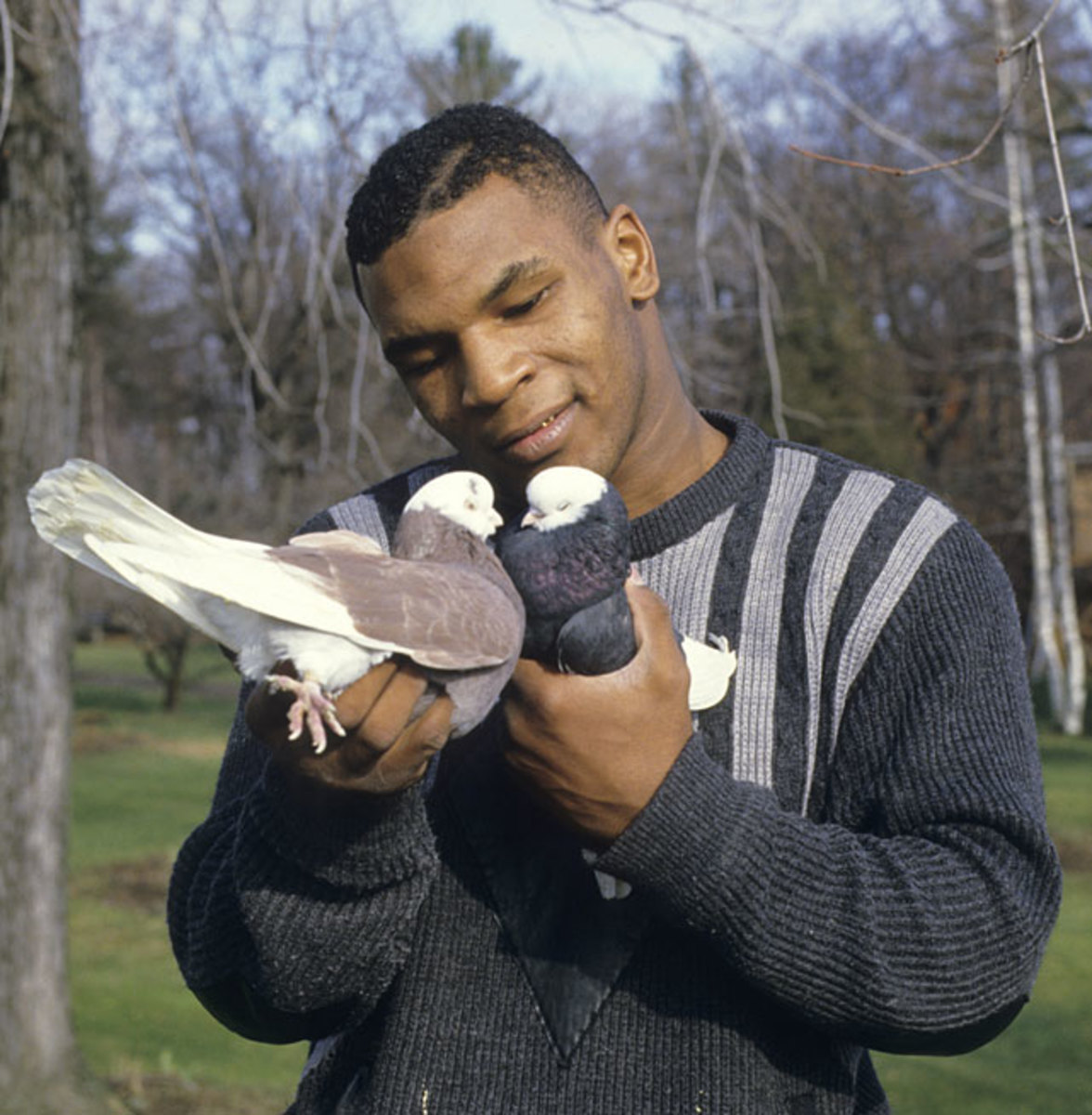 Mike Tyson and Pigeons - Sports Illustrated