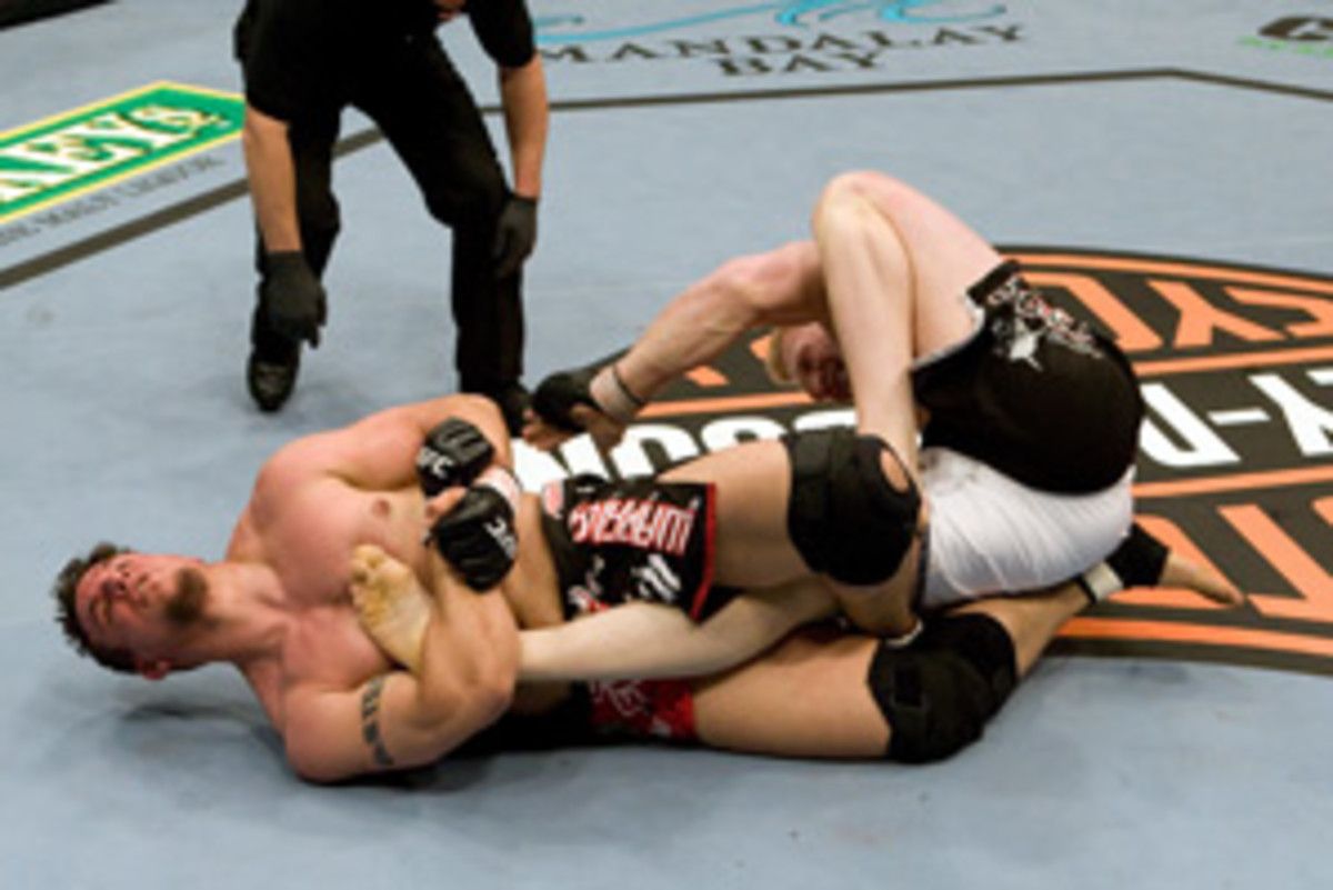mir-lesnar2.jpg