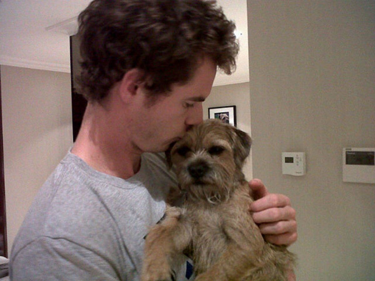 Andy Murray