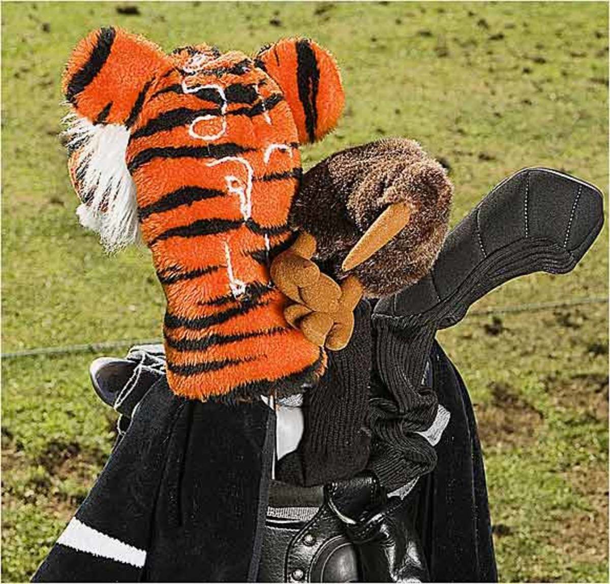 Tiger Woods
