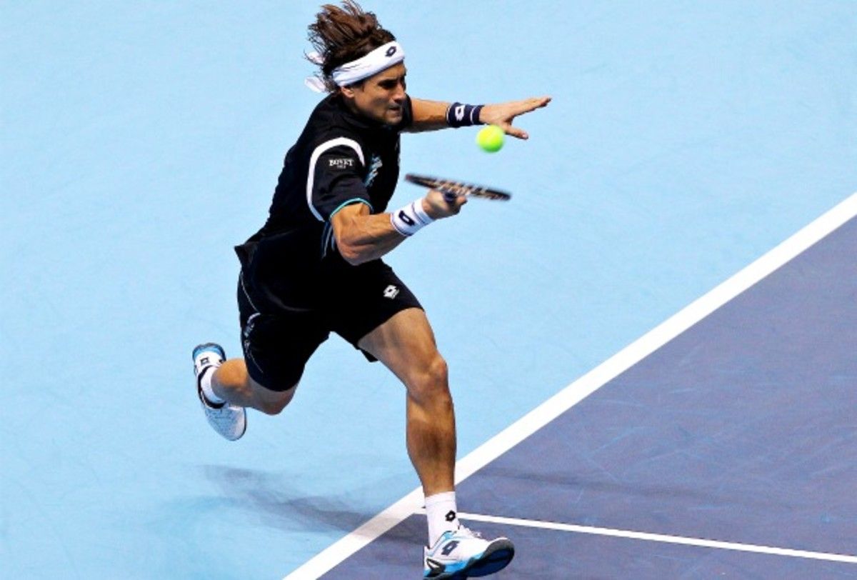David Ferrer