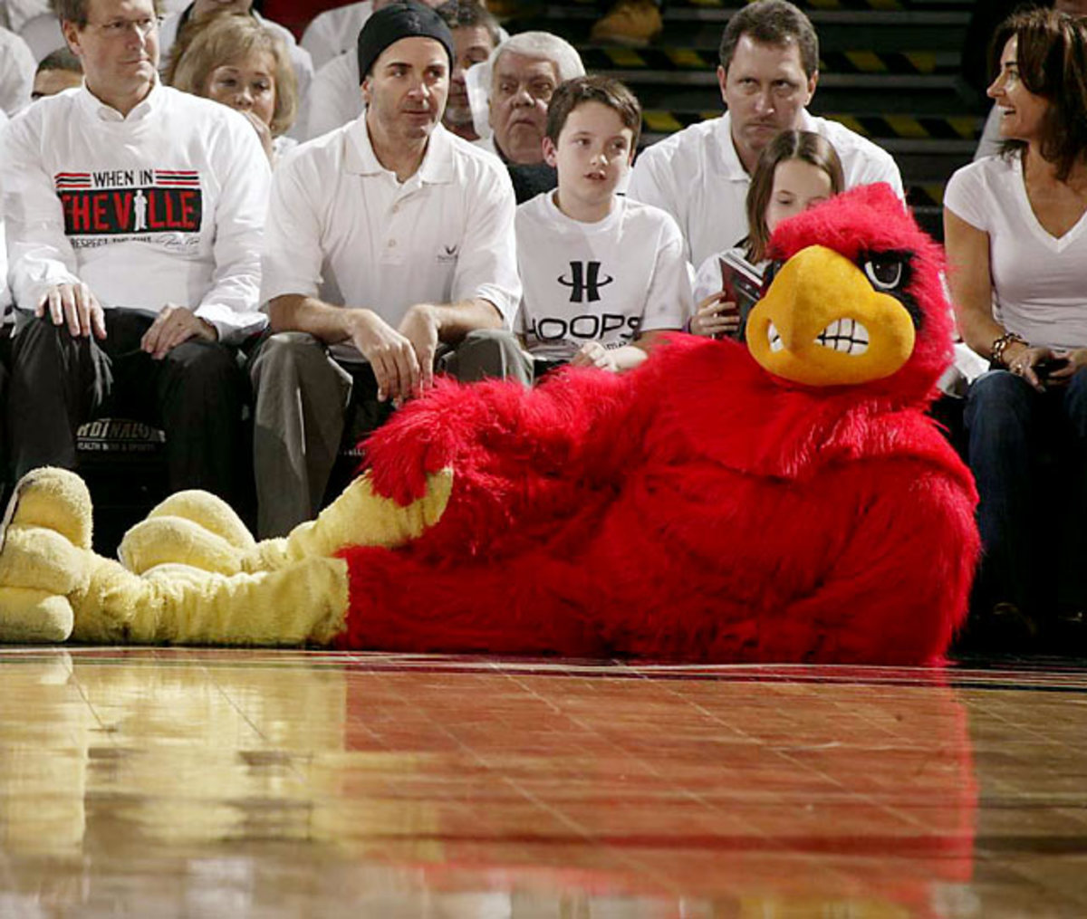 Louisville Cardinal