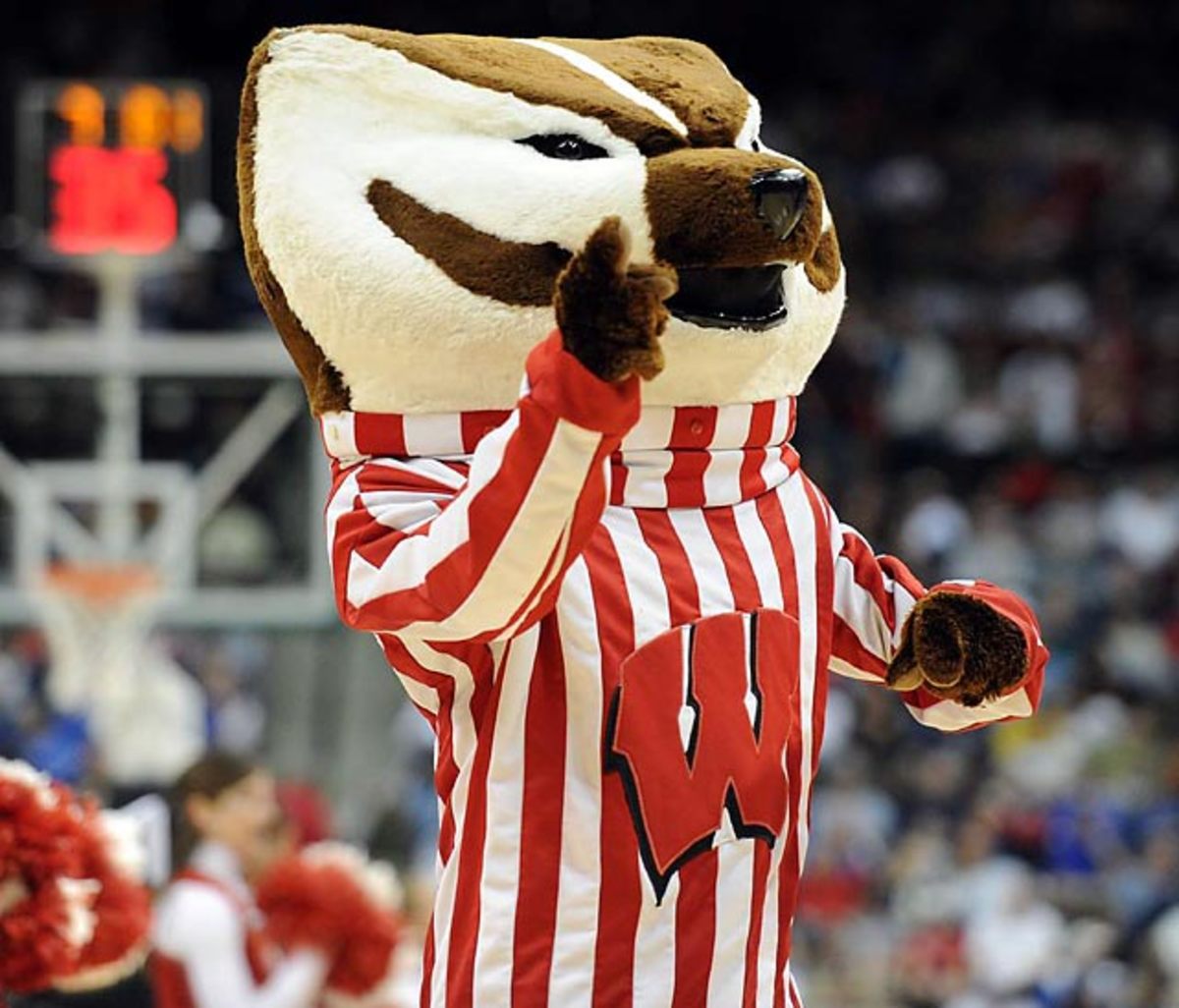 Wisconsin Badger