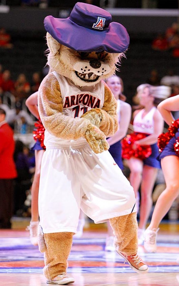Arizona Wildcats