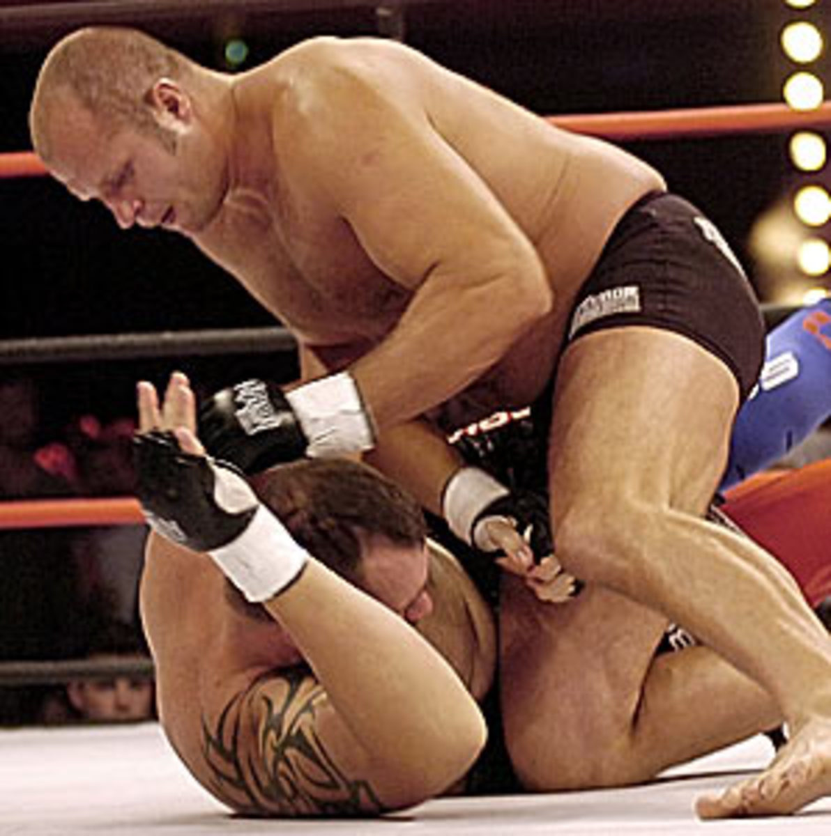 p1.mma.icon.jpg