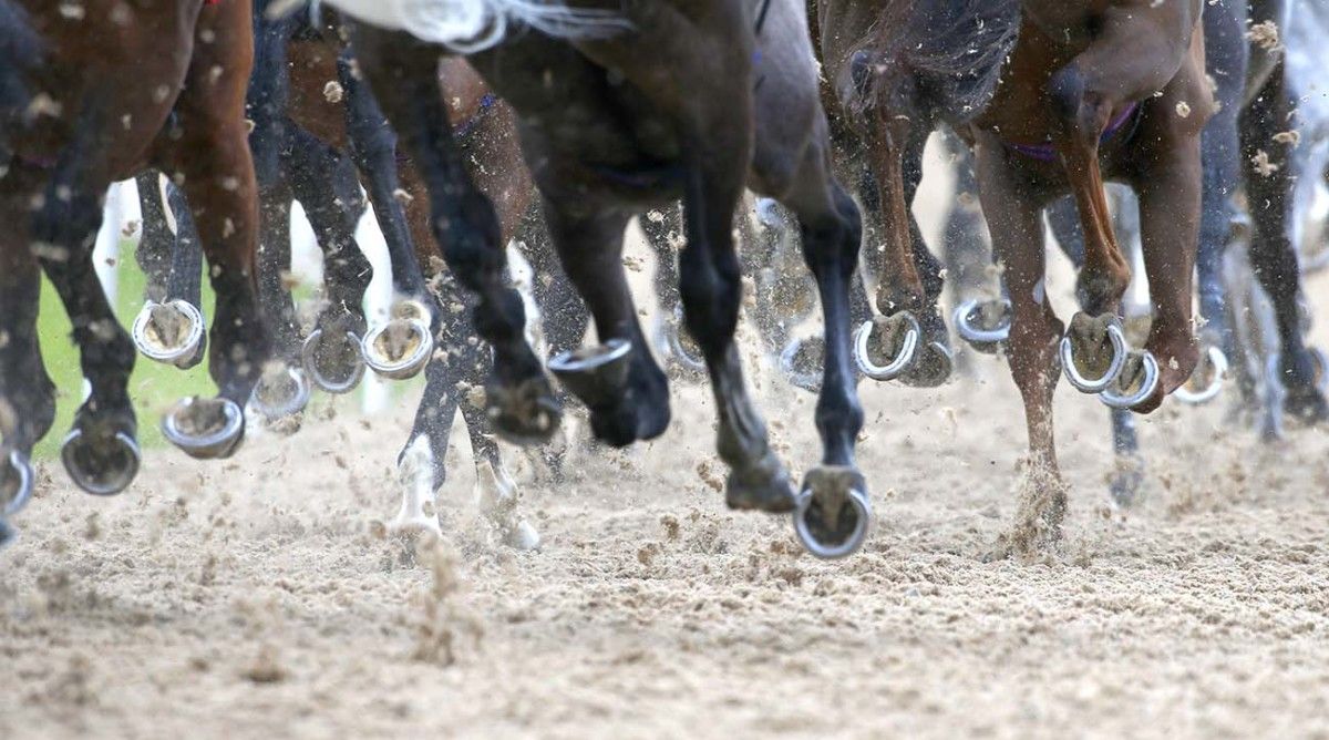 santa-anita-park-horse-deaths-no-crimes