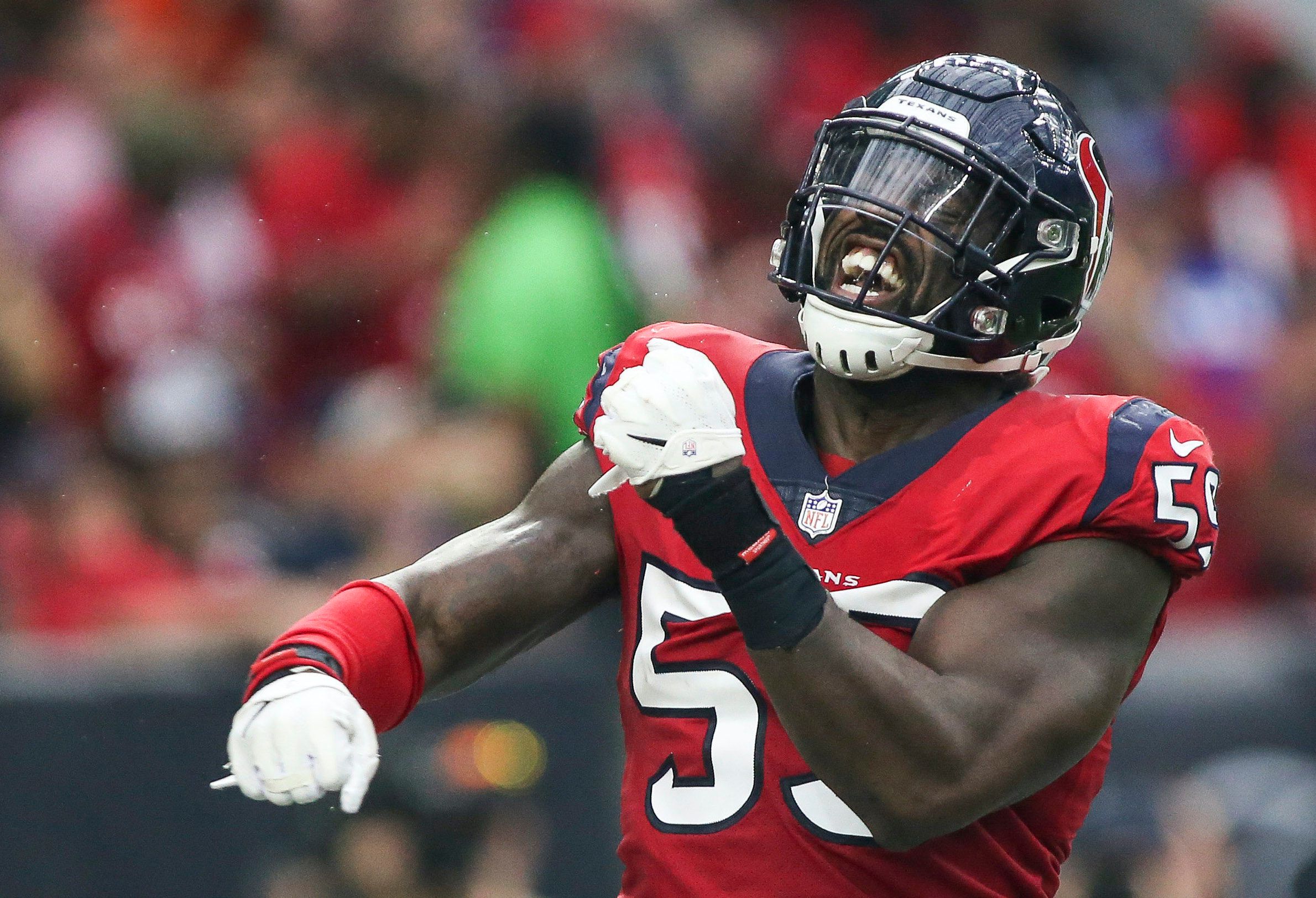 Whitney Mercilus