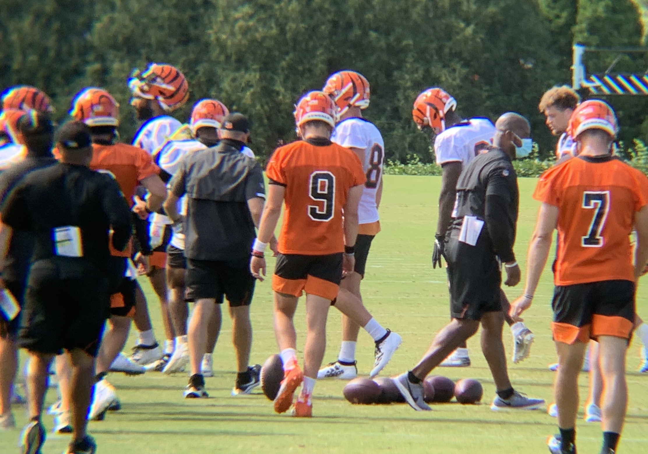 Cincinnati Bengals Training Camp It's time for pads Sports