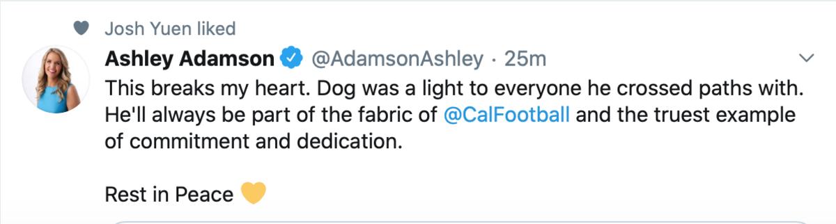 Ashley Adamson on Turner