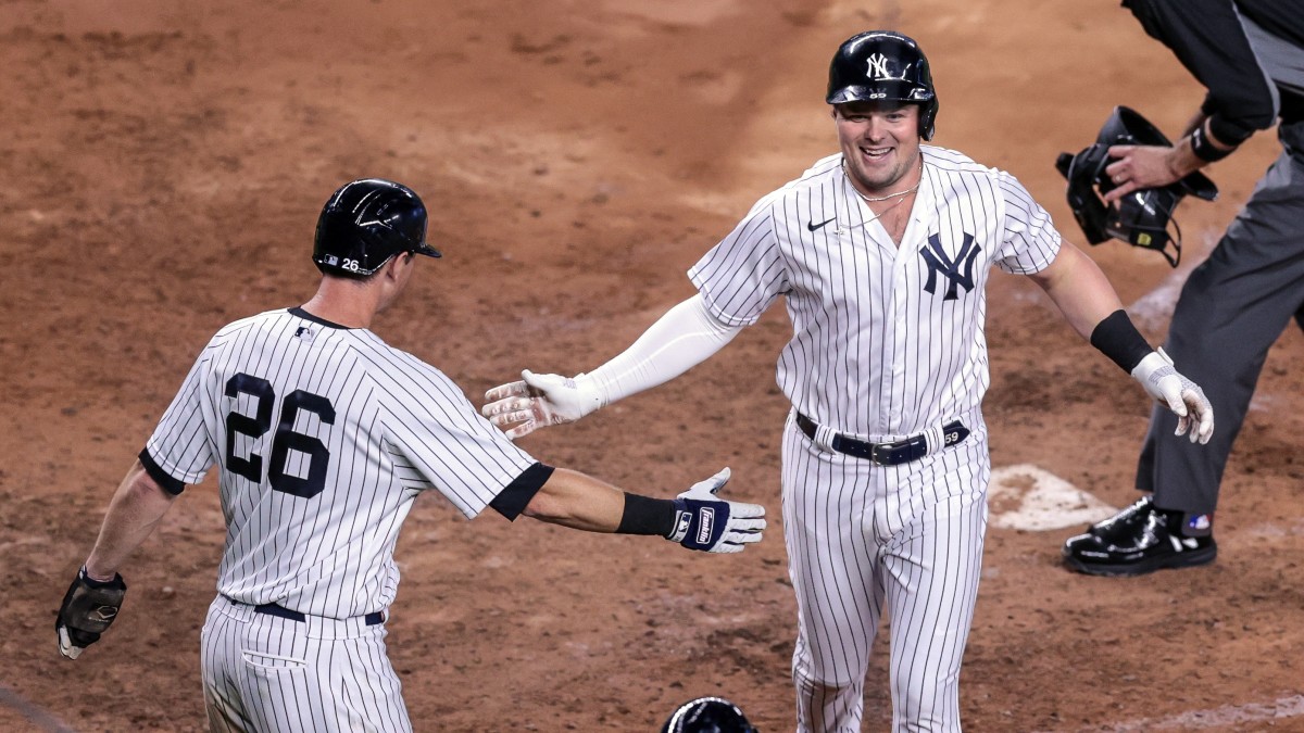 DJ LeMahieu and Luke Voit high-five