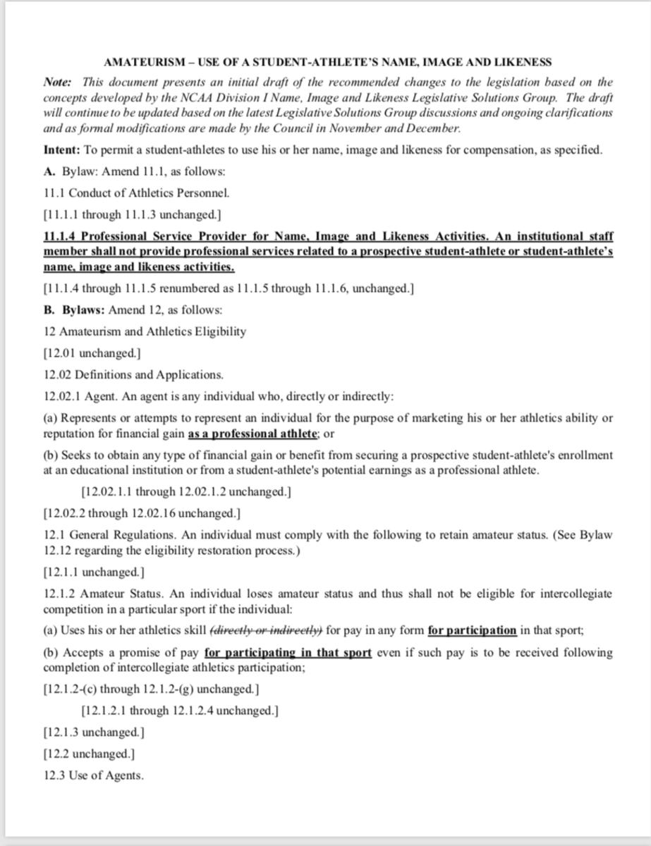 The first page of the recommended bylaw change for Name, Image and Likeness. 