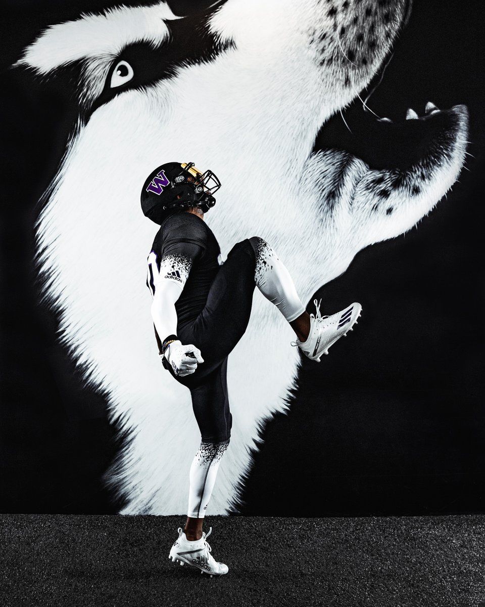 A Dawg dressed for success.