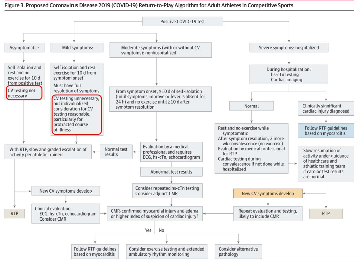 A flowchart from the study on cardiac screening necessity