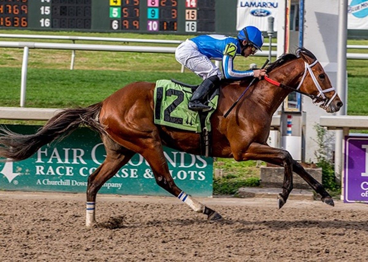 Trifecta Bet Horse Racing Trifecta Bet Horse Racing