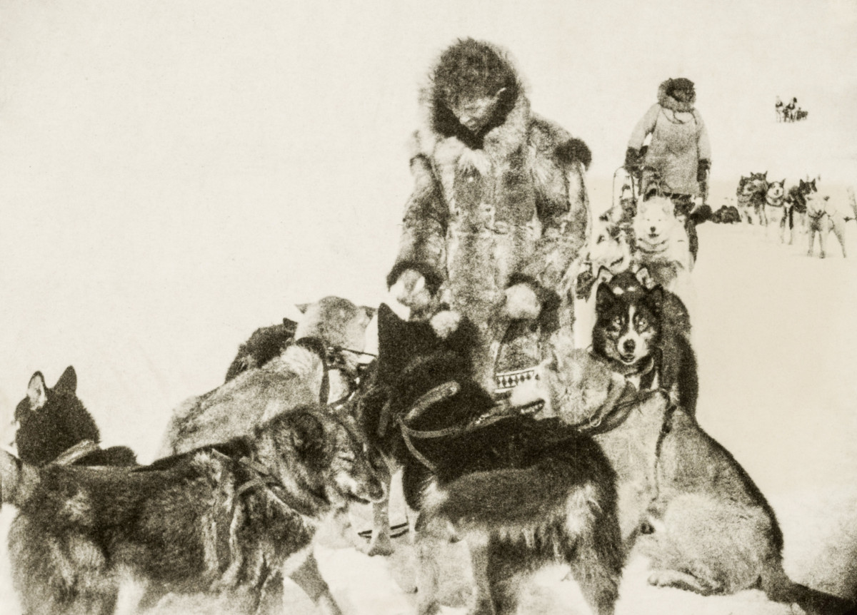 Seppala and his team of Siberians, circa 1920s.