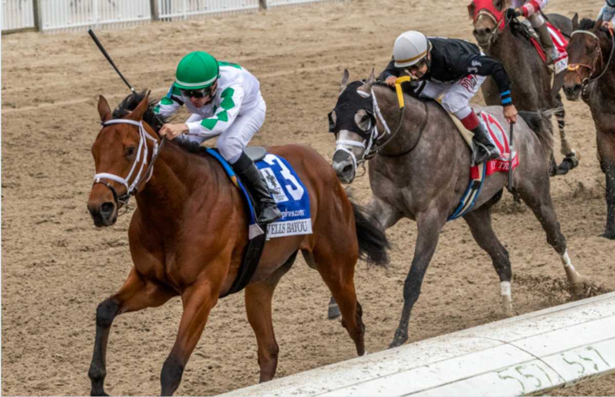 Horse Race of the Week Betting Breakdown 2021 Stakes Sports