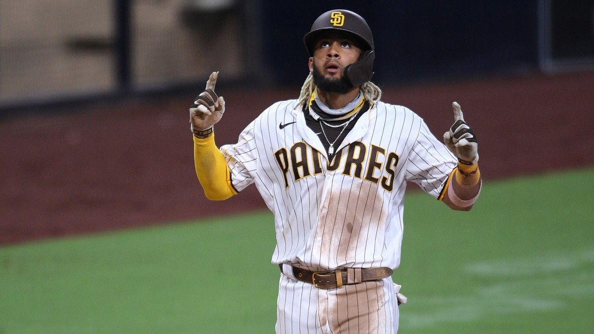 fernando tatis jr.
