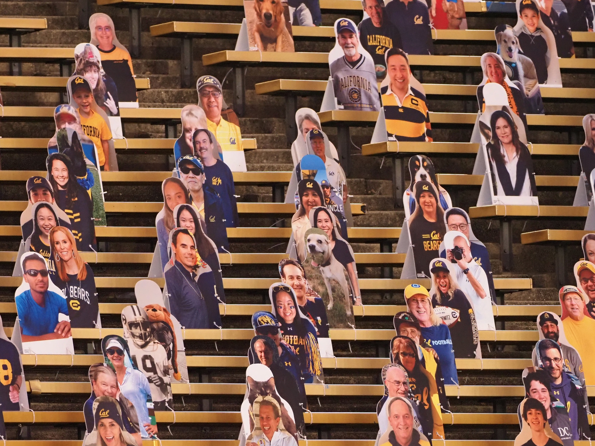 Report: Cal Athletics Turned a Profit in 2020 -- Sort of