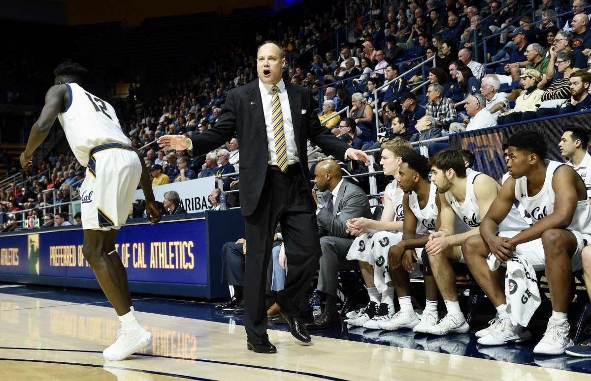 Cal coach Mark Fox expects his team to be improved next season