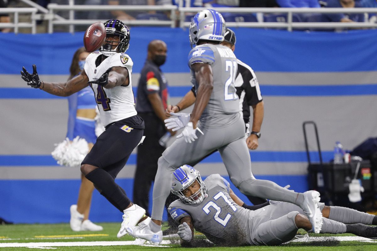 lions5