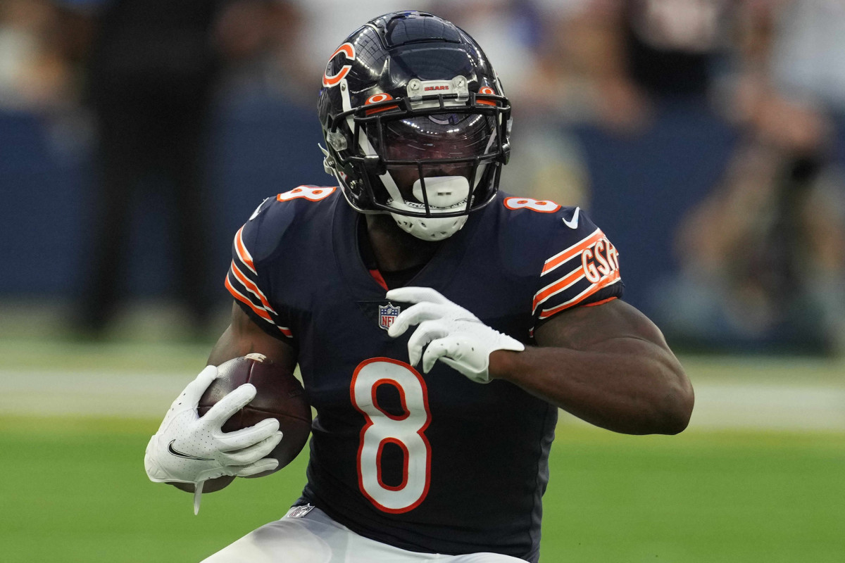 Chicago Bears Damien Williams