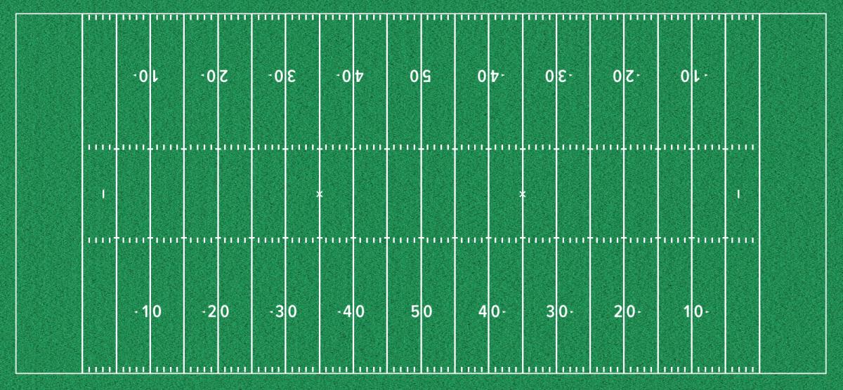 Turf Concept