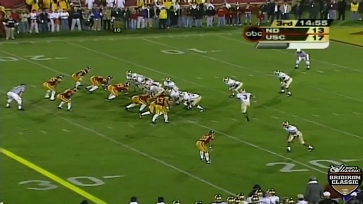 stone pic 5 troy polamalu 5100