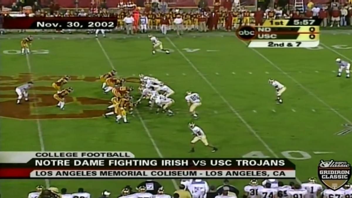 stone pic 3 troy polamalu 14.56