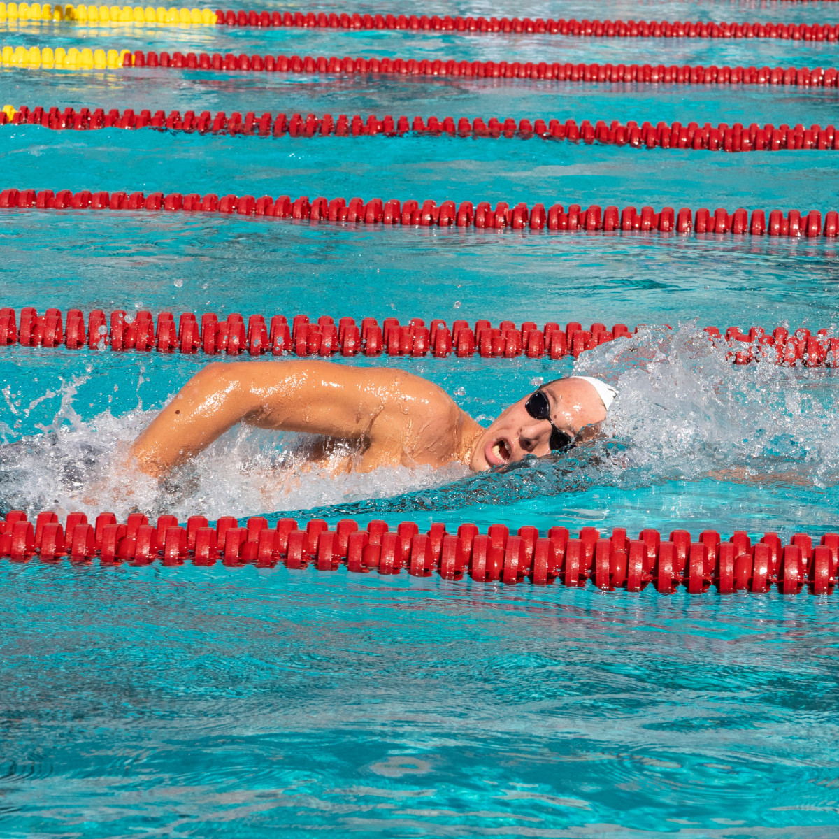 Geremia Freri is this week's Men's Swimmer of the Week and Co-Men's Newcomer of the Week