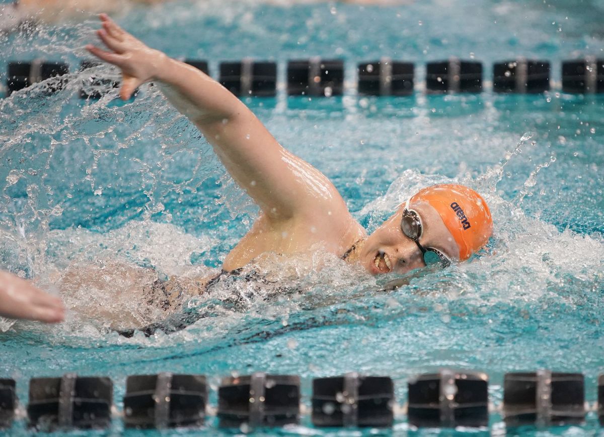 Virginia Cavaliers swimming and diving
