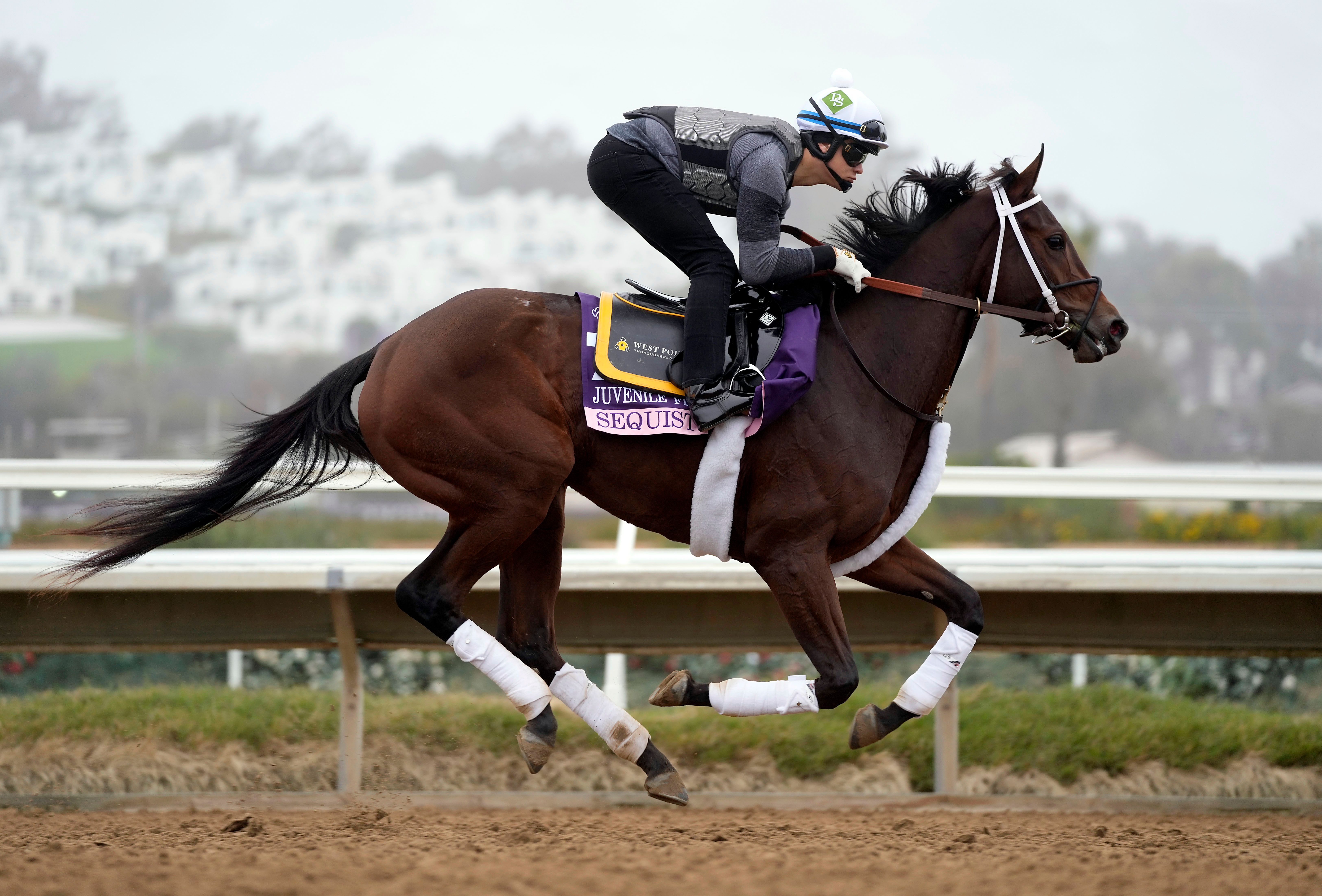 Breeders Cup Live Stream: Watch Online, TV Channel, Start Time - Sports Illustrated: What's On TV, Your Guide to Streaming. - Vimarsana News