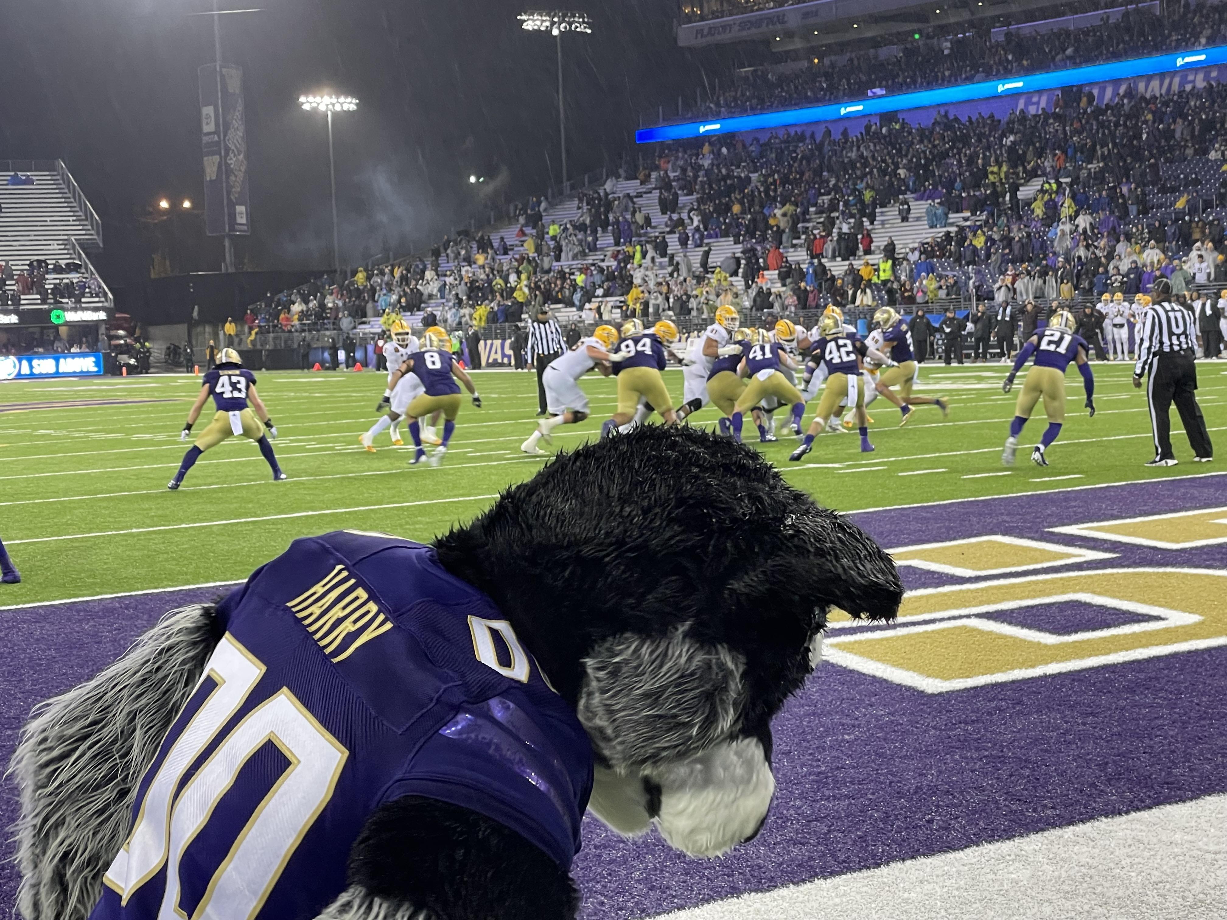 Apple Cup is One Big Goingaway Party for Huskies Sports Illustrated Washington Huskies News