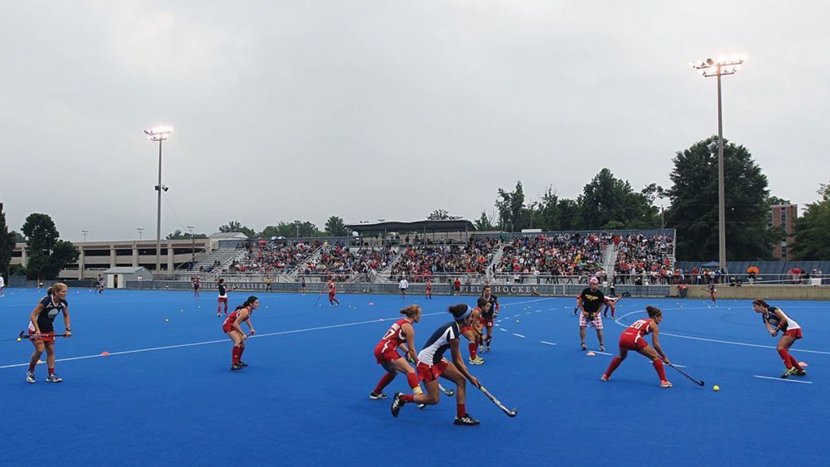 turf