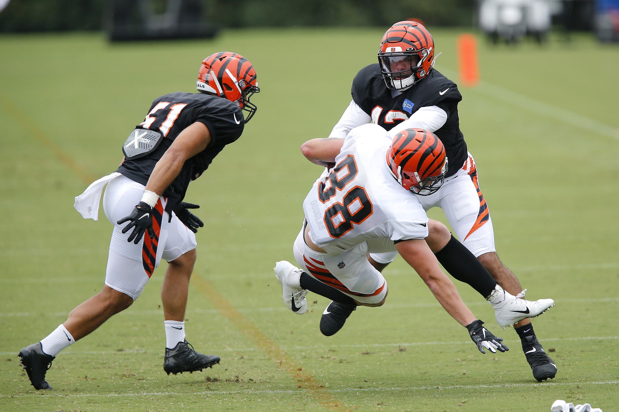 Cincinnati Bengals Sign Linebacker Austin Calitro From Practice Squad