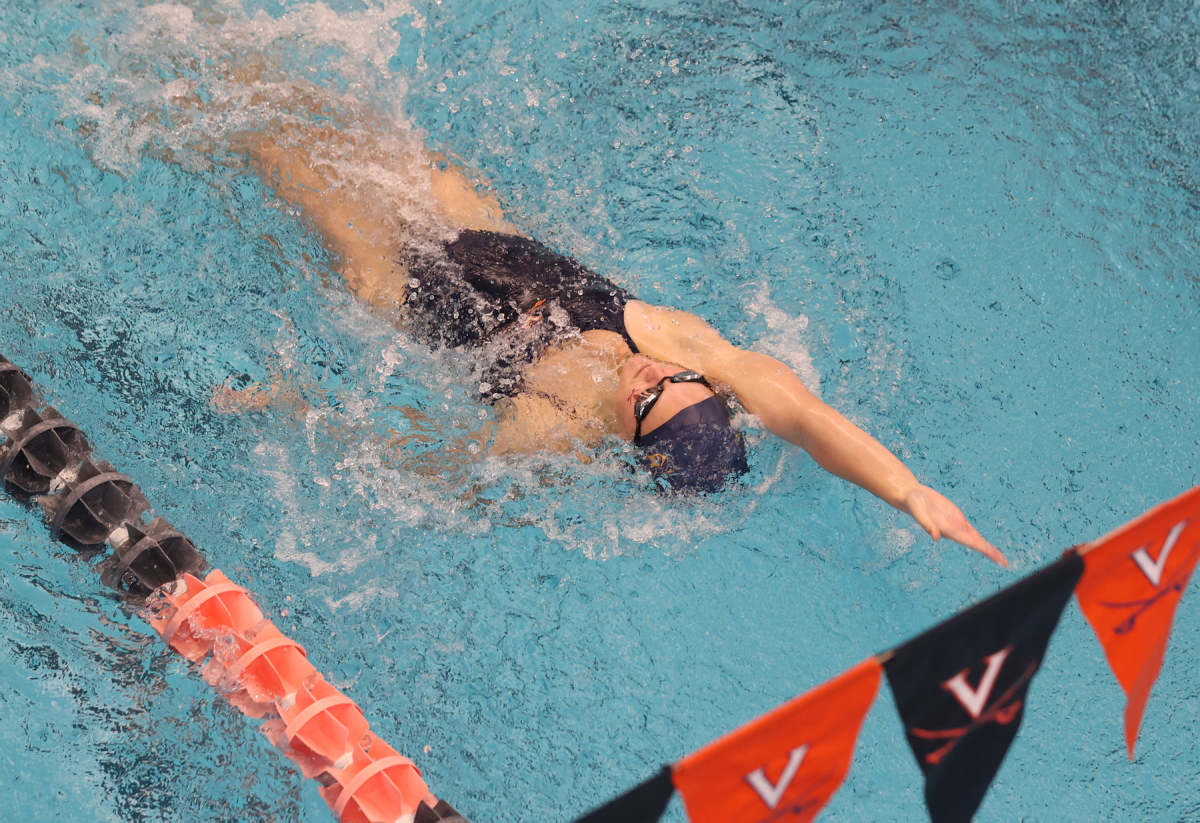 Virginia Cavalier swimming & diving