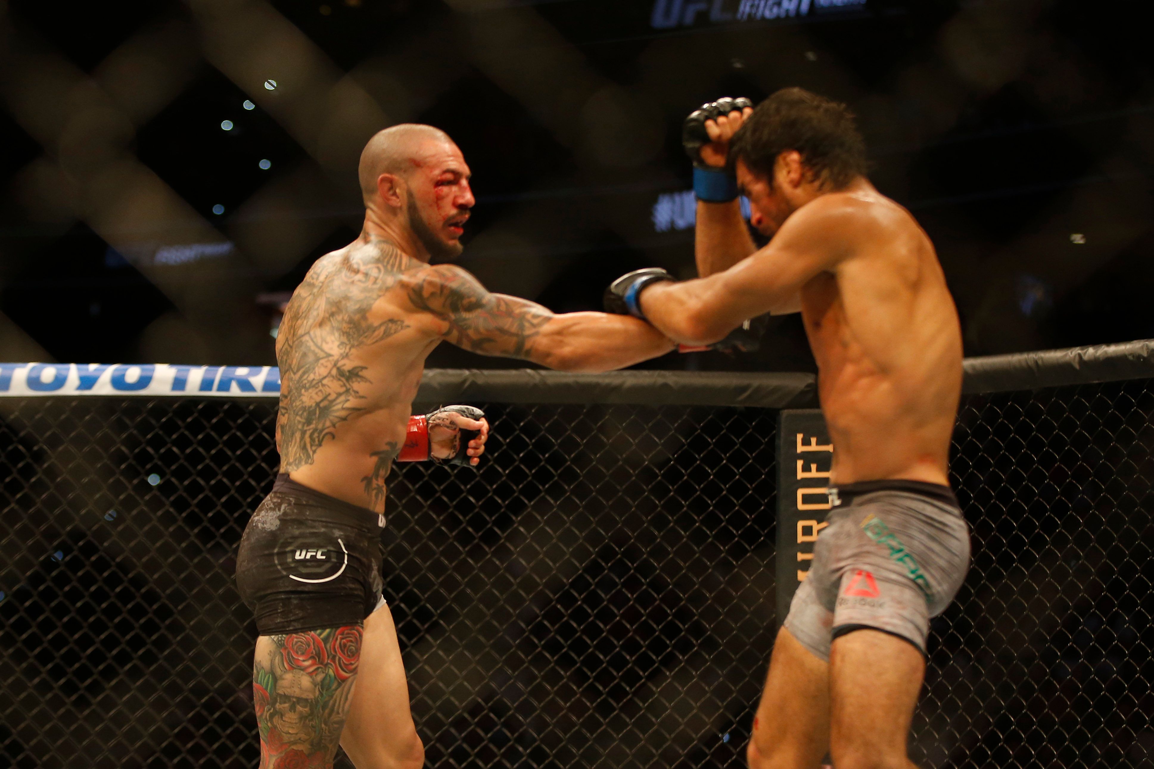 Bellator 274 Gracie Vs Storley Live Stream Watch Online TV Channel 