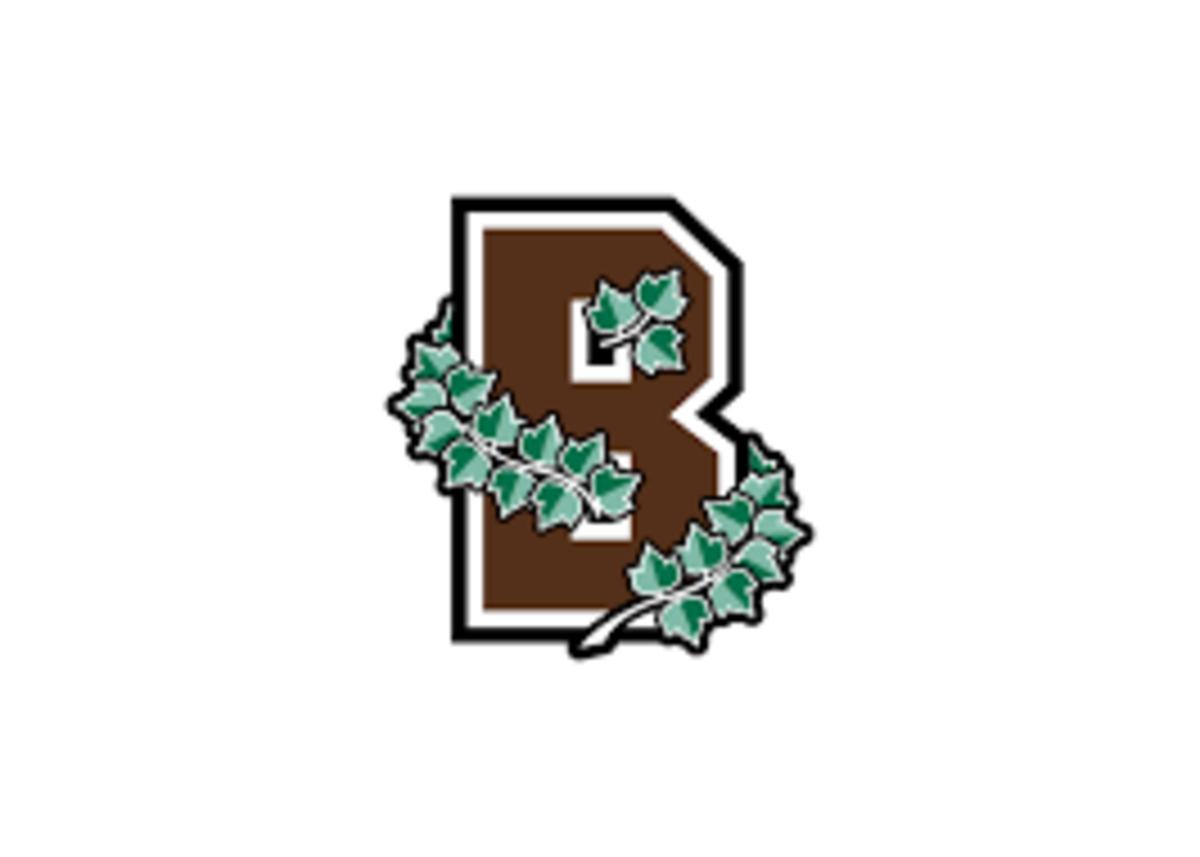 Brown bears football logo