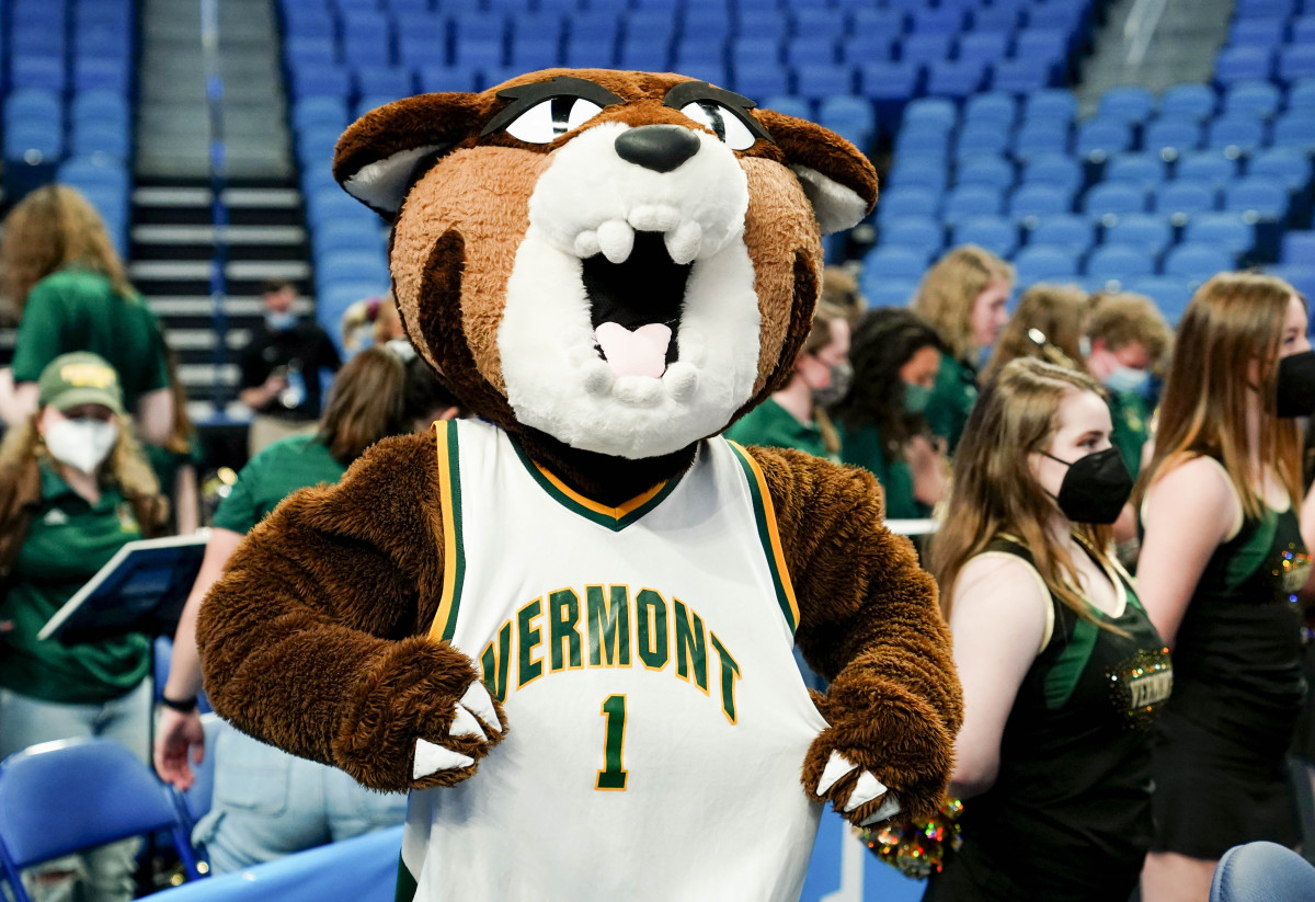 Vermont’s catamount, Houston’s cougar, Georgia State’s panther, plus mountain lions and pumas—they’re all the same thing.