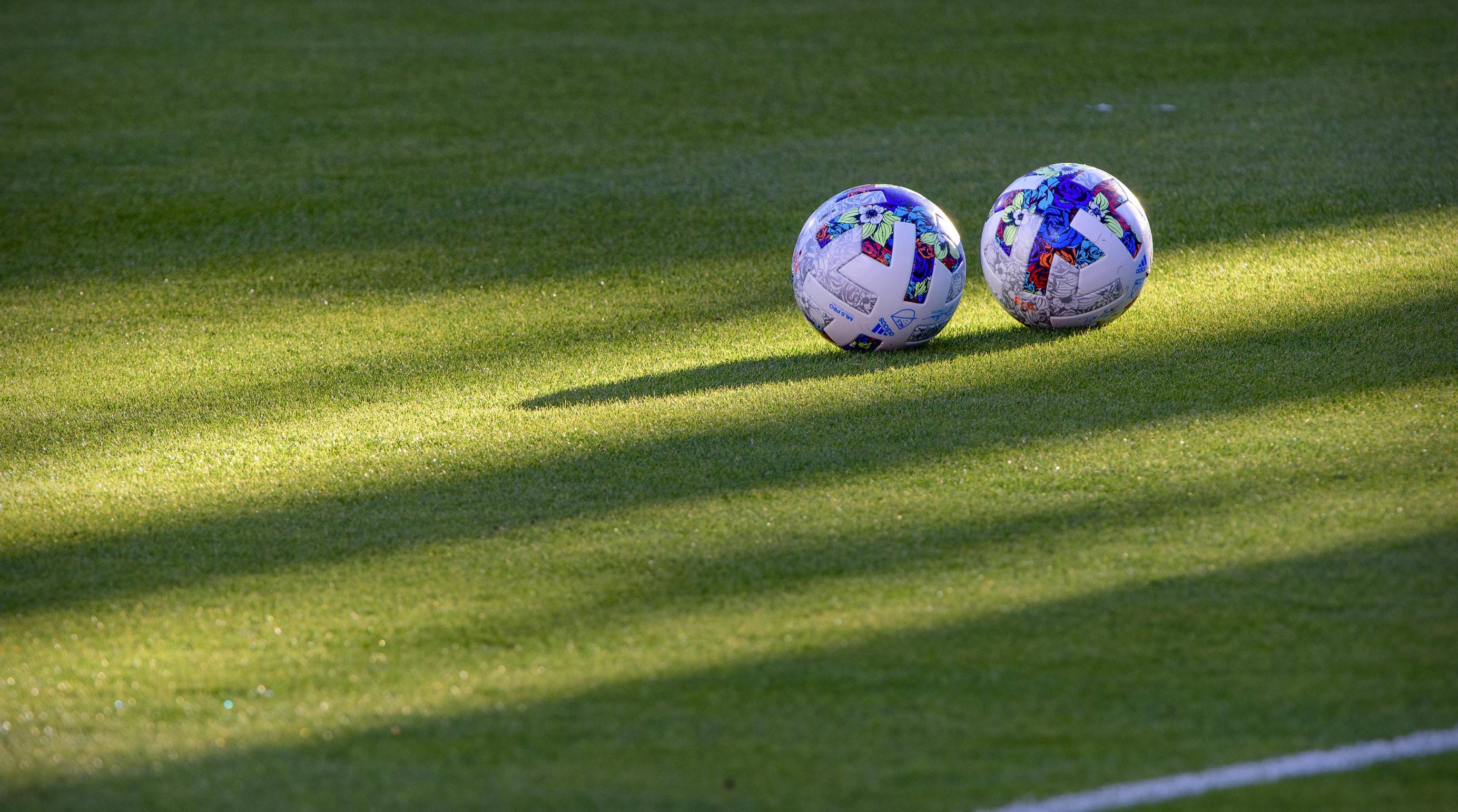 UEFA, taraftarların Kiev’e karşı Putin’in adını haykırmasının ardından Türk kulübü hakkında soruşturma başlattı