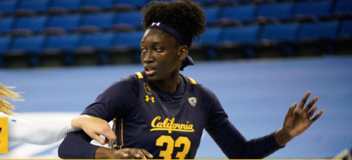 Report Cal Women's Basketball Player Fatou Samb Enters Transfer Portal
