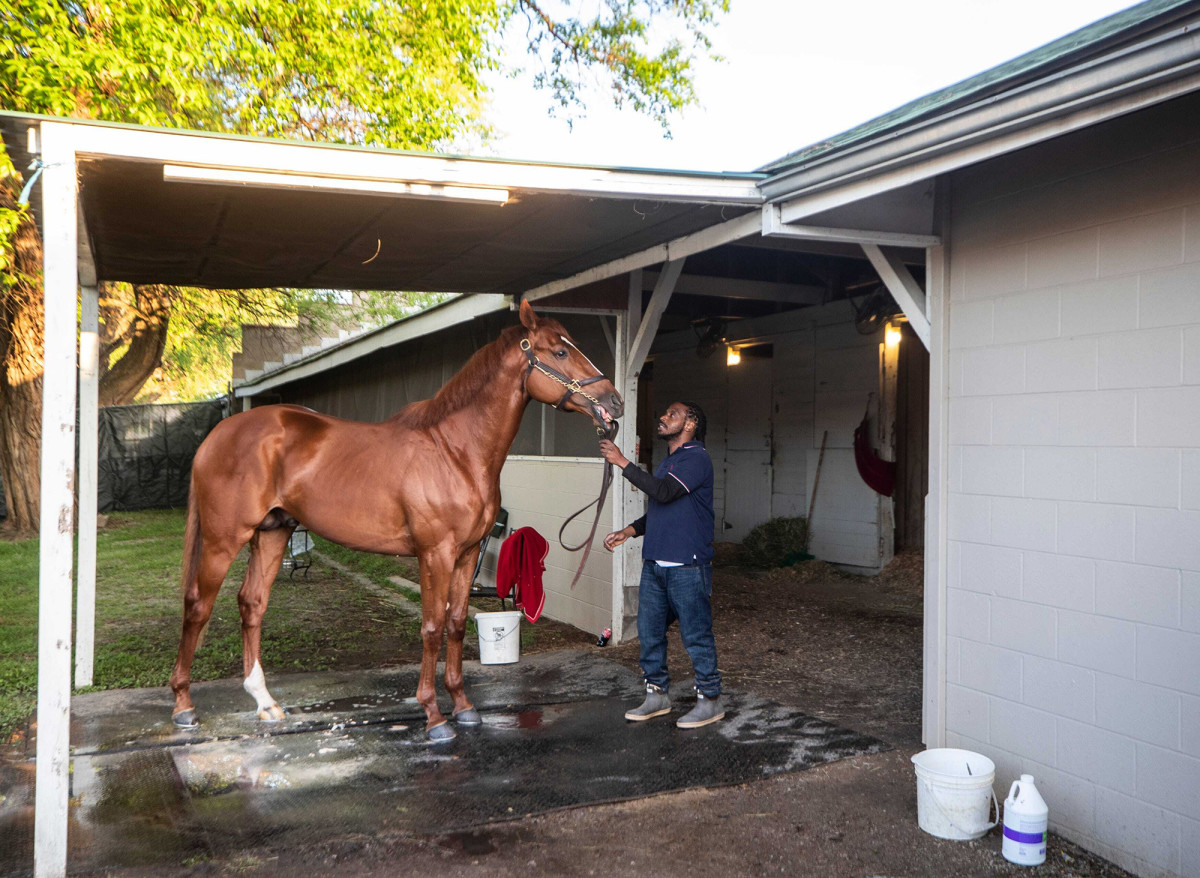 Since the Derby win, Rich Strike has spent most of his time at Mercury Equine Center outside Lexington.