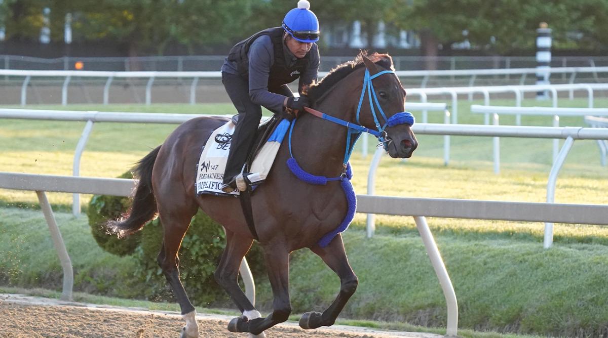 May 17, 2022; Baltimore, MD, USA; Simplification has a workout prior to the Preakness Stakes at Pimlico Race Course.