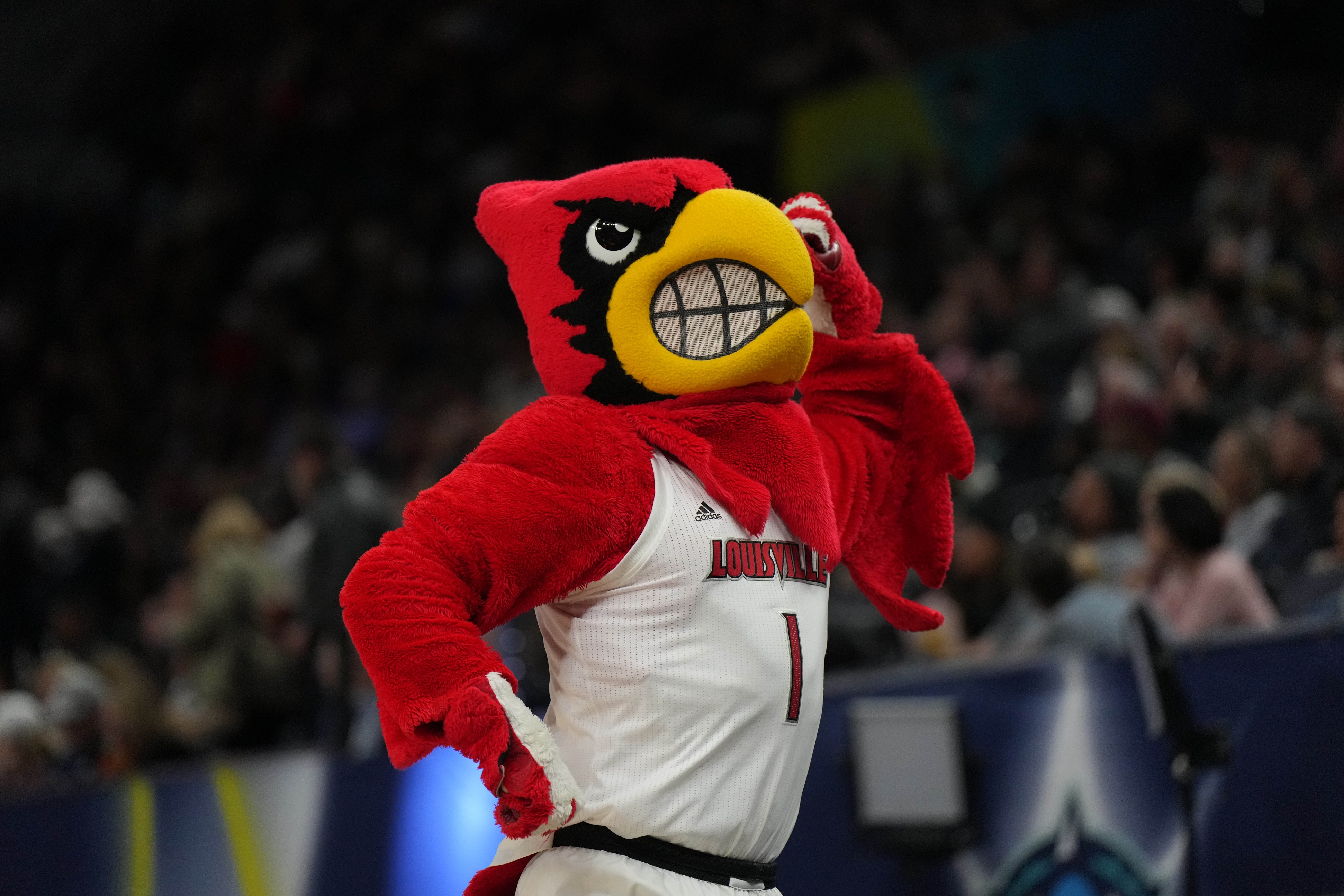 Louisville Cardinals