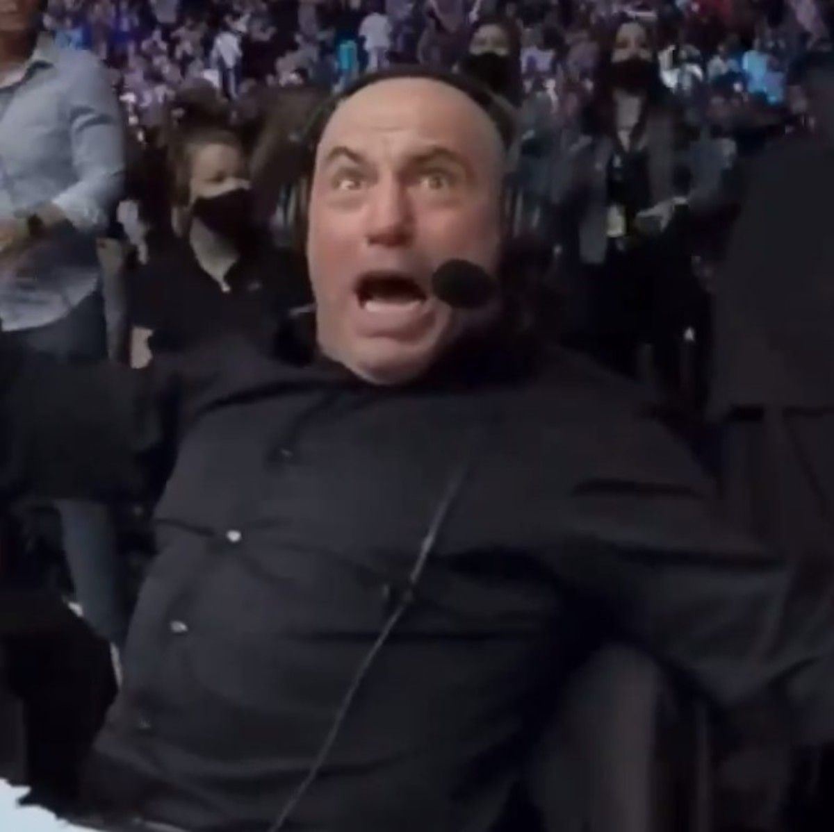 Joe Rogan's Shocked Look