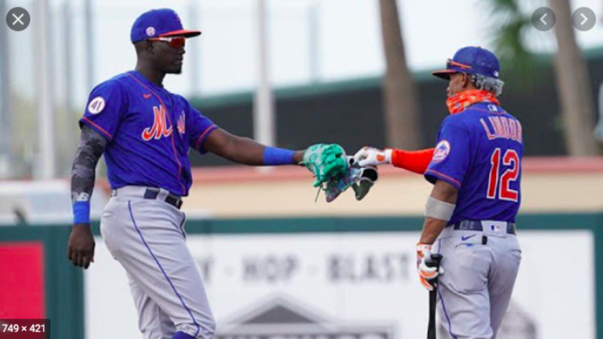Mets shortstop of the present Francisco Lindor fist bumps shortstop of the future Ronnie Mauricio